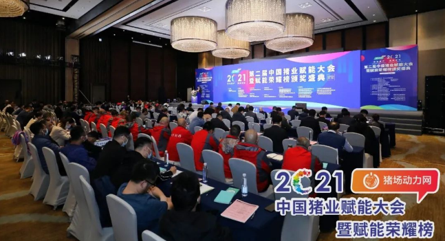 正康生?Plus榮獲“2021年度匠心飼料添加劑”！